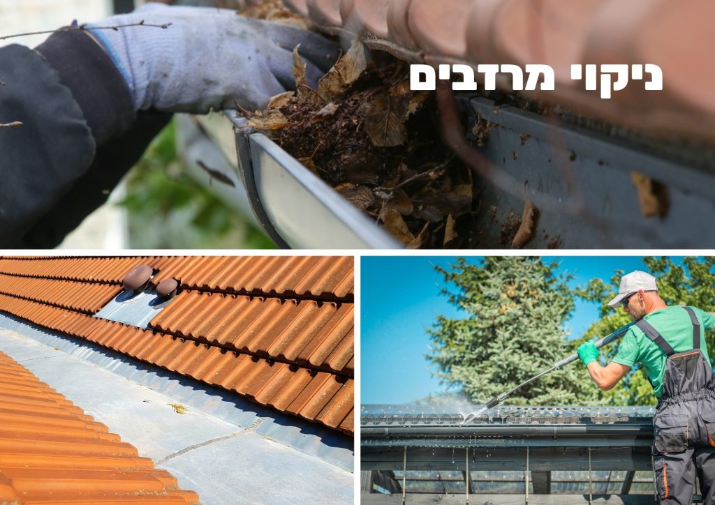 ניקוי מרזבים