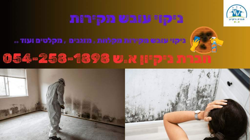 ניקוי עובש