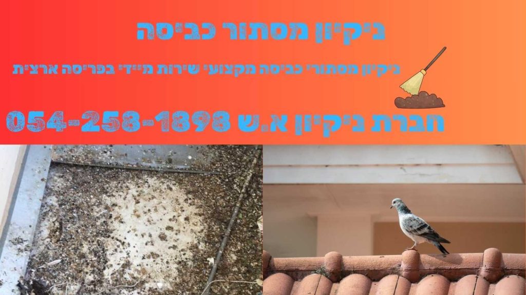ניקיון מסתור כביסה