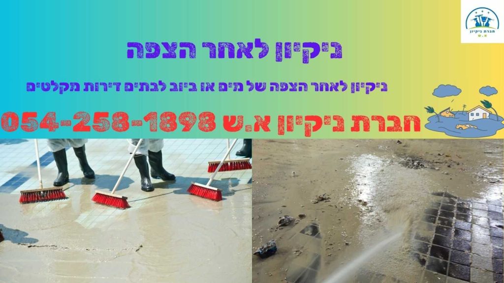 ניקיון לאחר הצפה