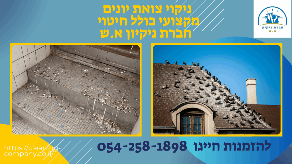 ניקוי צואת יונים