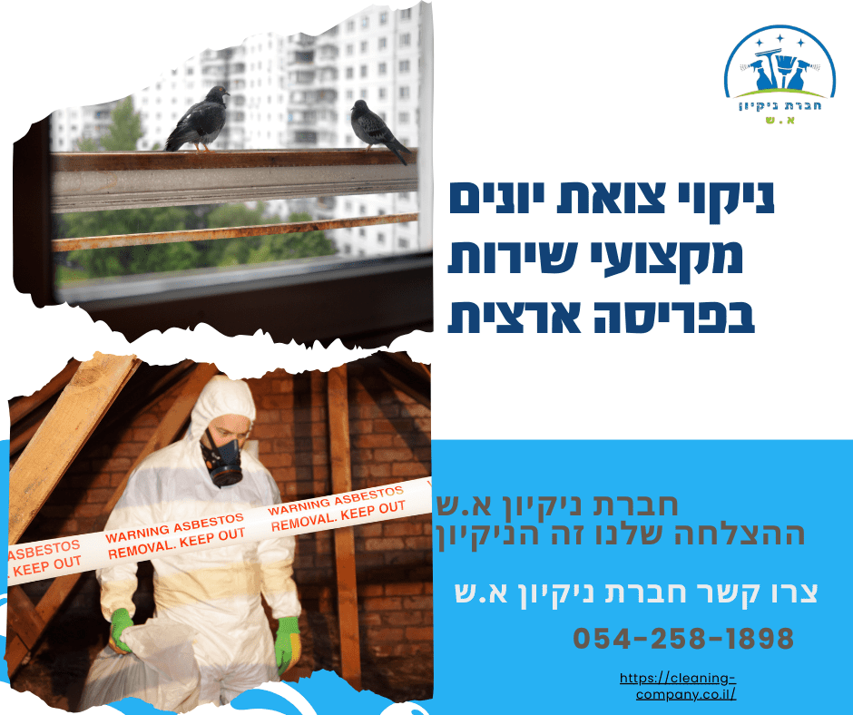 ניקוי צואת יונים בפריסה ארצית