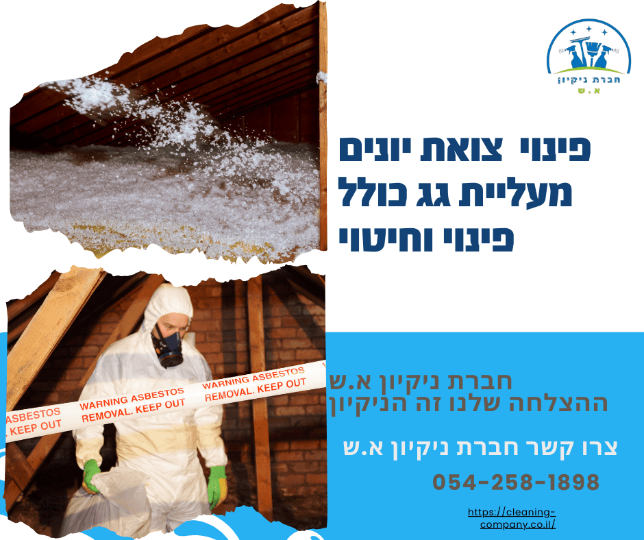 פינוי צואת יונים מעליית גג