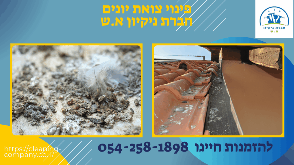 פינוי צואת יונים